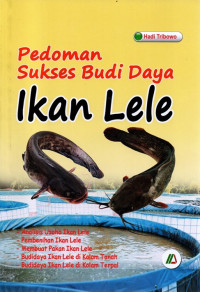 Pedoman Sukses Budi Ikan Lele